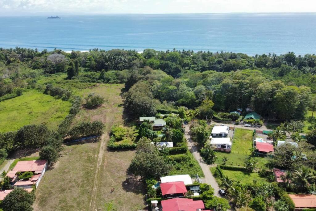 Casa Toucan Mit Privat Pool Near Np Ballena Uvita Dış mekan fotoğraf