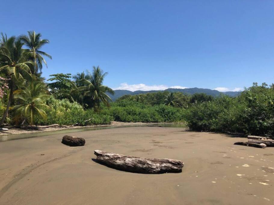 Casa Toucan Mit Privat Pool Near Np Ballena Uvita Dış mekan fotoğraf