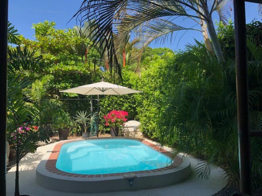 Casa Toucan Mit Privat Pool Near Np Ballena Uvita Dış mekan fotoğraf