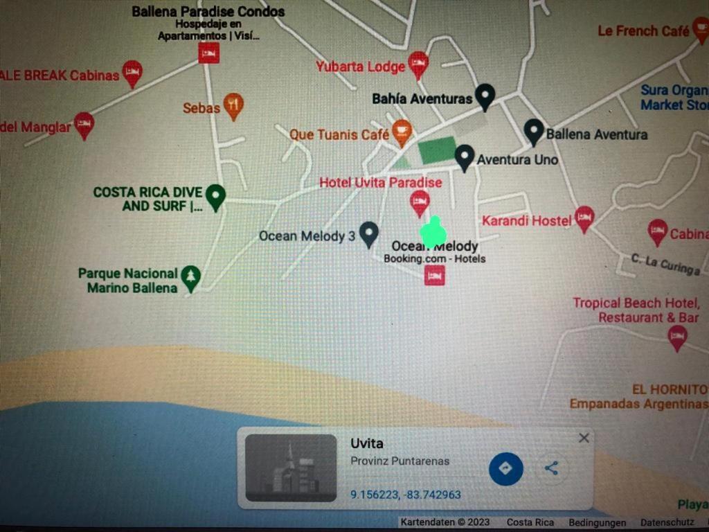 Casa Toucan Mit Privat Pool Near Np Ballena Uvita Dış mekan fotoğraf