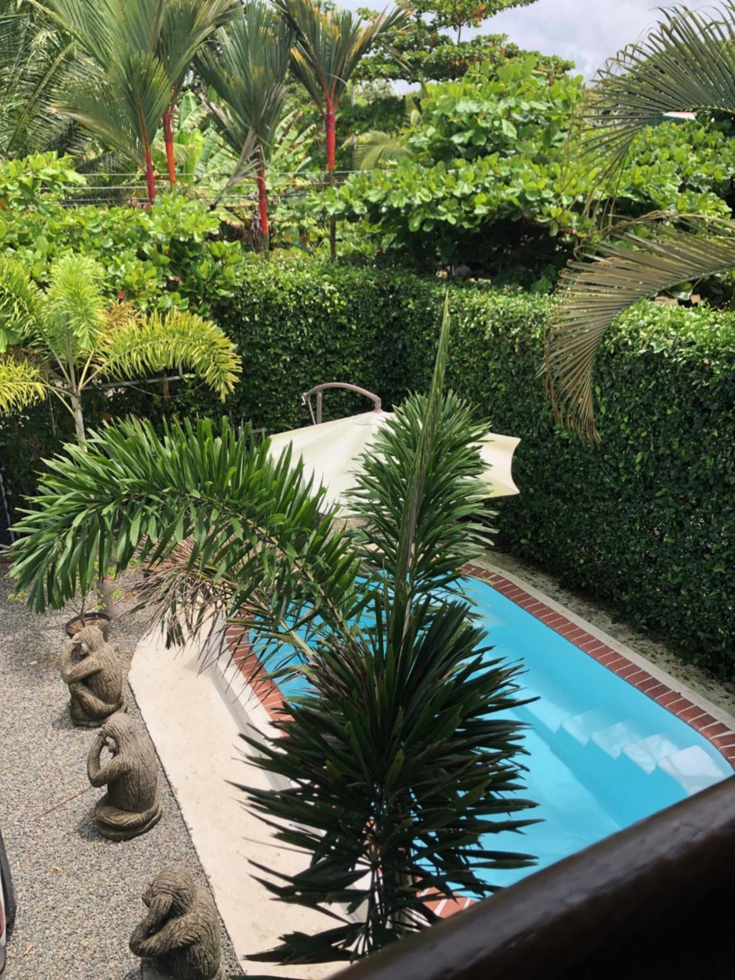 Casa Toucan Mit Privat Pool Near Np Ballena Uvita Dış mekan fotoğraf