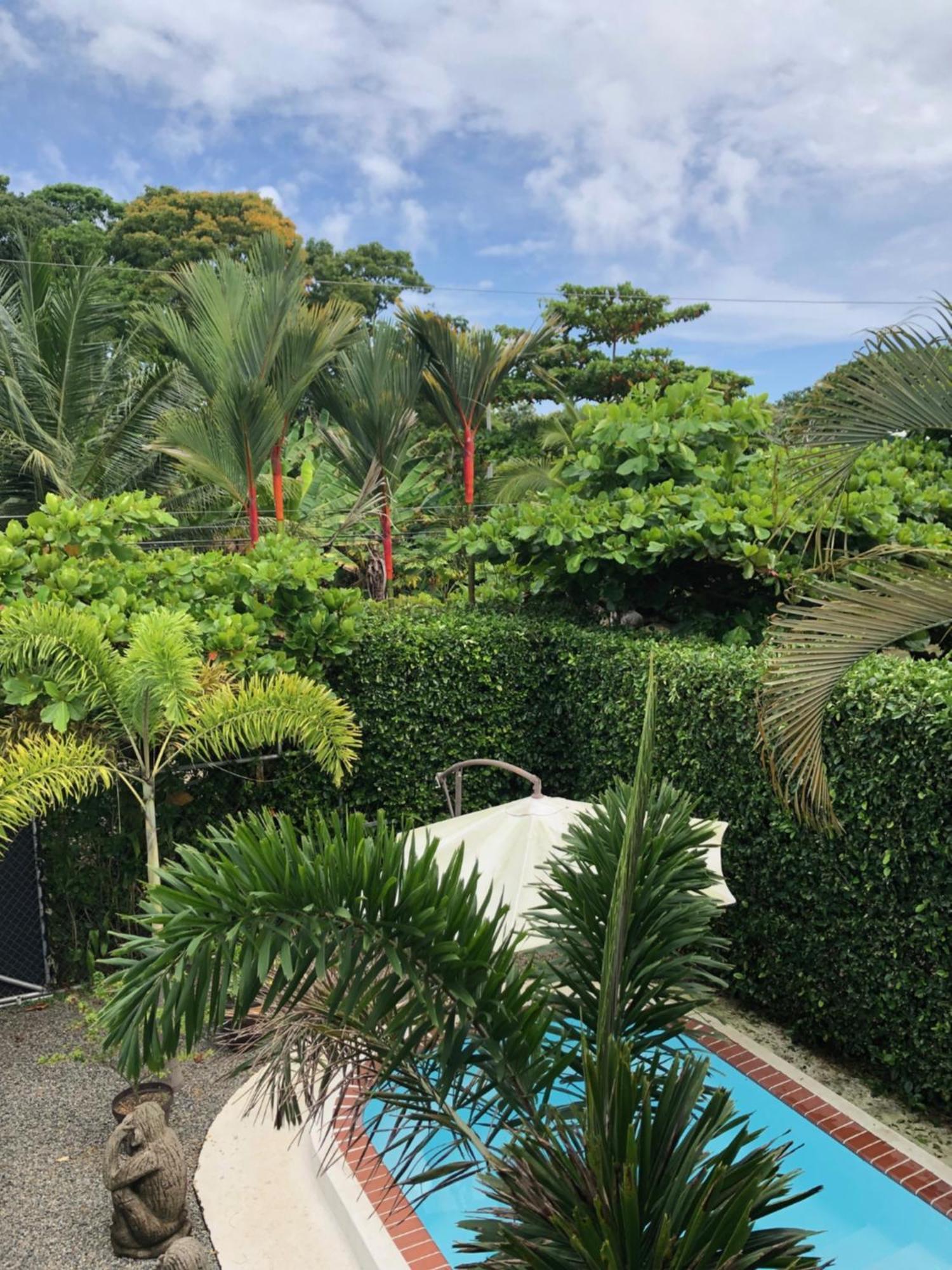 Casa Toucan Mit Privat Pool Near Np Ballena Uvita Dış mekan fotoğraf