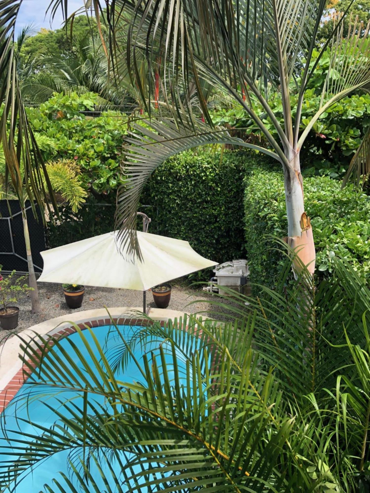Casa Toucan Mit Privat Pool Near Np Ballena Uvita Dış mekan fotoğraf